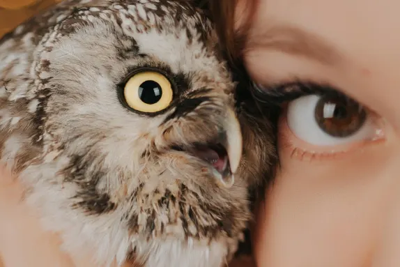 Casino Loco Win Support